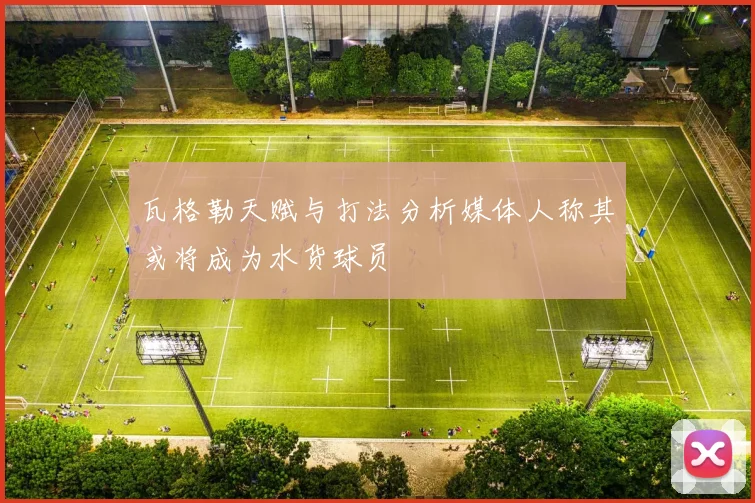 瓦格勒天赋与打法分析媒体人称其或将成为水货球员