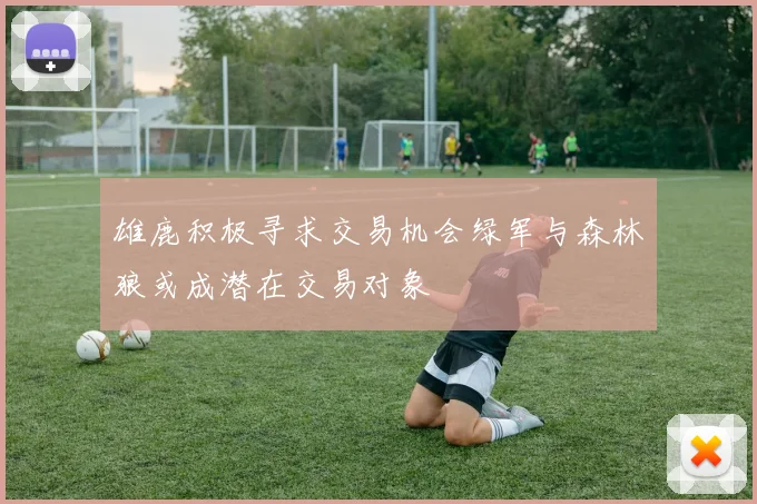 雄鹿积极寻求交易机会绿军与森林狼或成潜在交易对象
