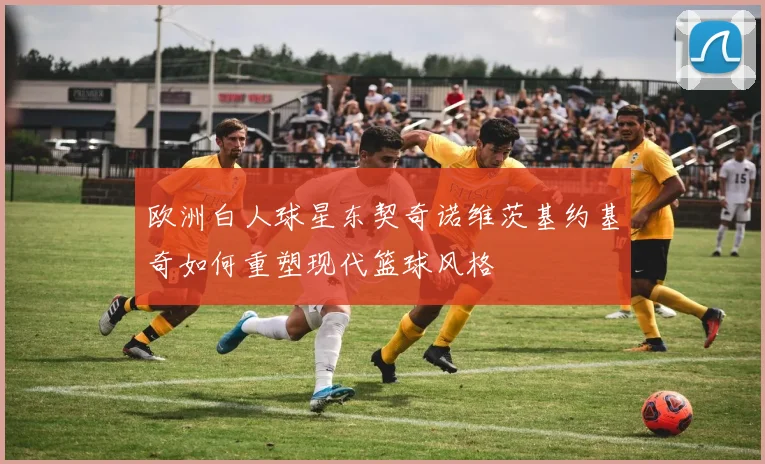 欧洲白人球星东契奇诺维茨基约基奇如何重塑现代篮球风格